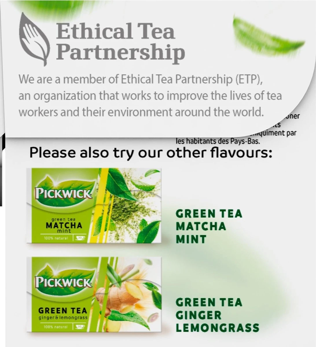 Pickwick Pure Groene Thee - 12 X 20 Zakjes - Afbeelding 2