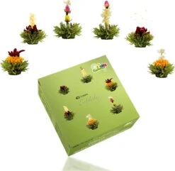 Creano Theebloemen Pakket Groene Thee - Fruitsmaken - 6 Stuks -
