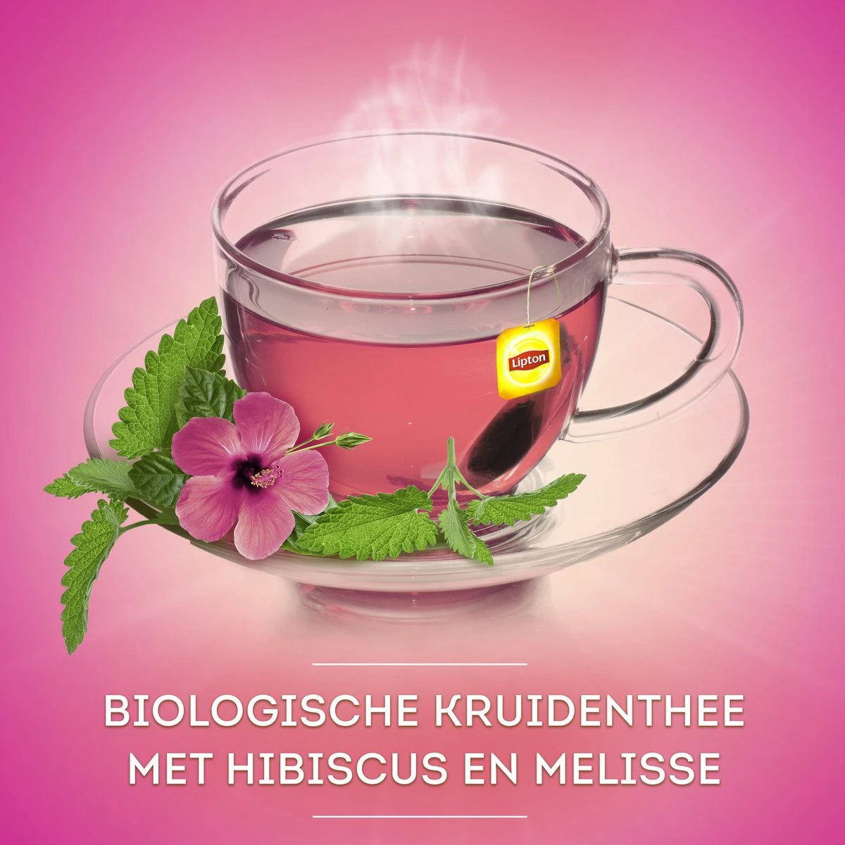 Lipton Hibiscus & Melissa Kruidenthee, Met De Zoete Smaak Van Hibiscus En De Frisse Smaak Van Melissa - 4 X 20 Zakjes - PL-EKO-03 - Afbeelding 7