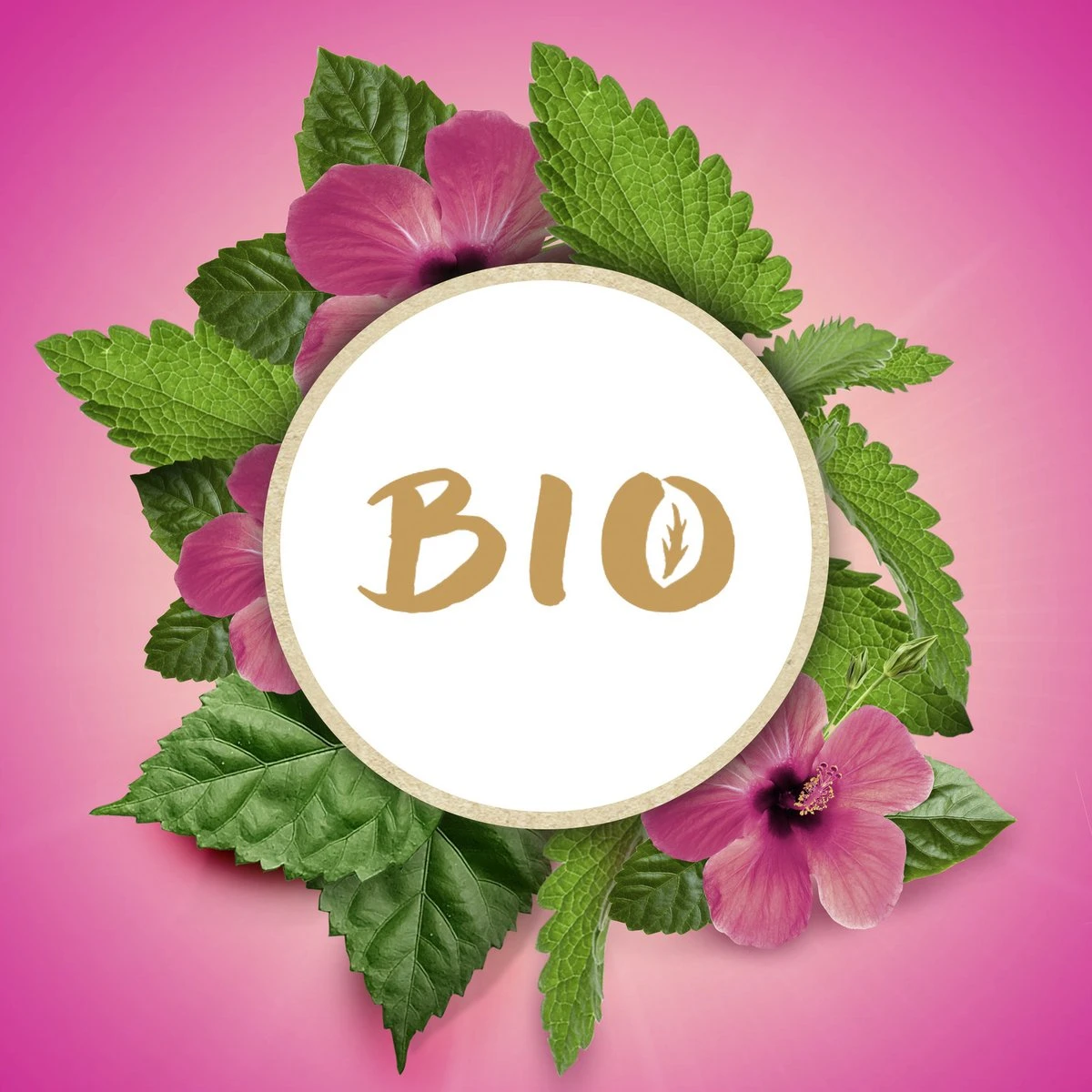 Lipton Hibiscus & Melissa Kruidenthee, Met De Zoete Smaak Van Hibiscus En De Frisse Smaak Van Melissa - 4 X 20 Zakjes - PL-EKO-03 - Afbeelding 8