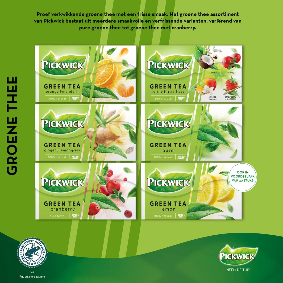 Pickwick Pure Groene Thee - 12 X 20 Zakjes - Afbeelding 6