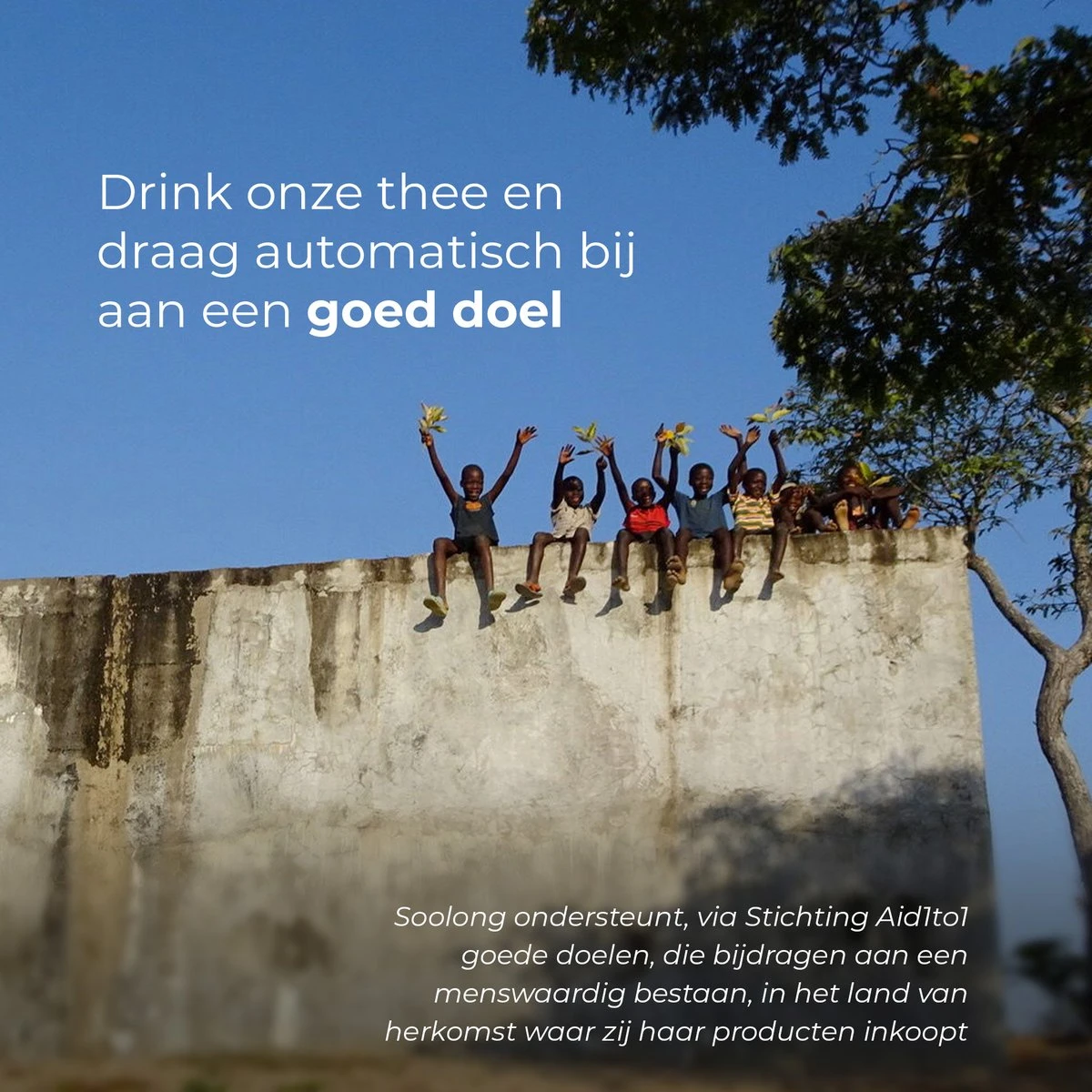 Soolong - Theezakjes - Eco - 50pc - Afbeelding 4