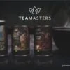 Teamasters Giftbox - Thee Geschenkset - Kerstpakket - Thee - Herbal Chai - Herbal Rooibos - Groene Thee - Perzik - Appel - Kerst - Geschenkset
