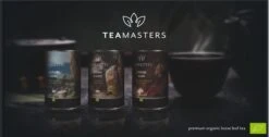 Teamasters Giftbox - Thee Geschenkset - Kerstpakket - Thee - Herbal Chai - Herbal Rooibos - Groene Thee - Perzik - Appel - Kerst - Geschenkset