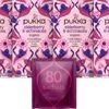 Pukka Elderberry Echinacea Thee, Met Zoethoutwortel, Gember En Echinaceablad - 4 X 20 Zakjes - GB-BIO-05