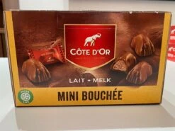 Chocolade Bonbons Côte D'Or Mini Bouchée 1kg +/-106 Stuks